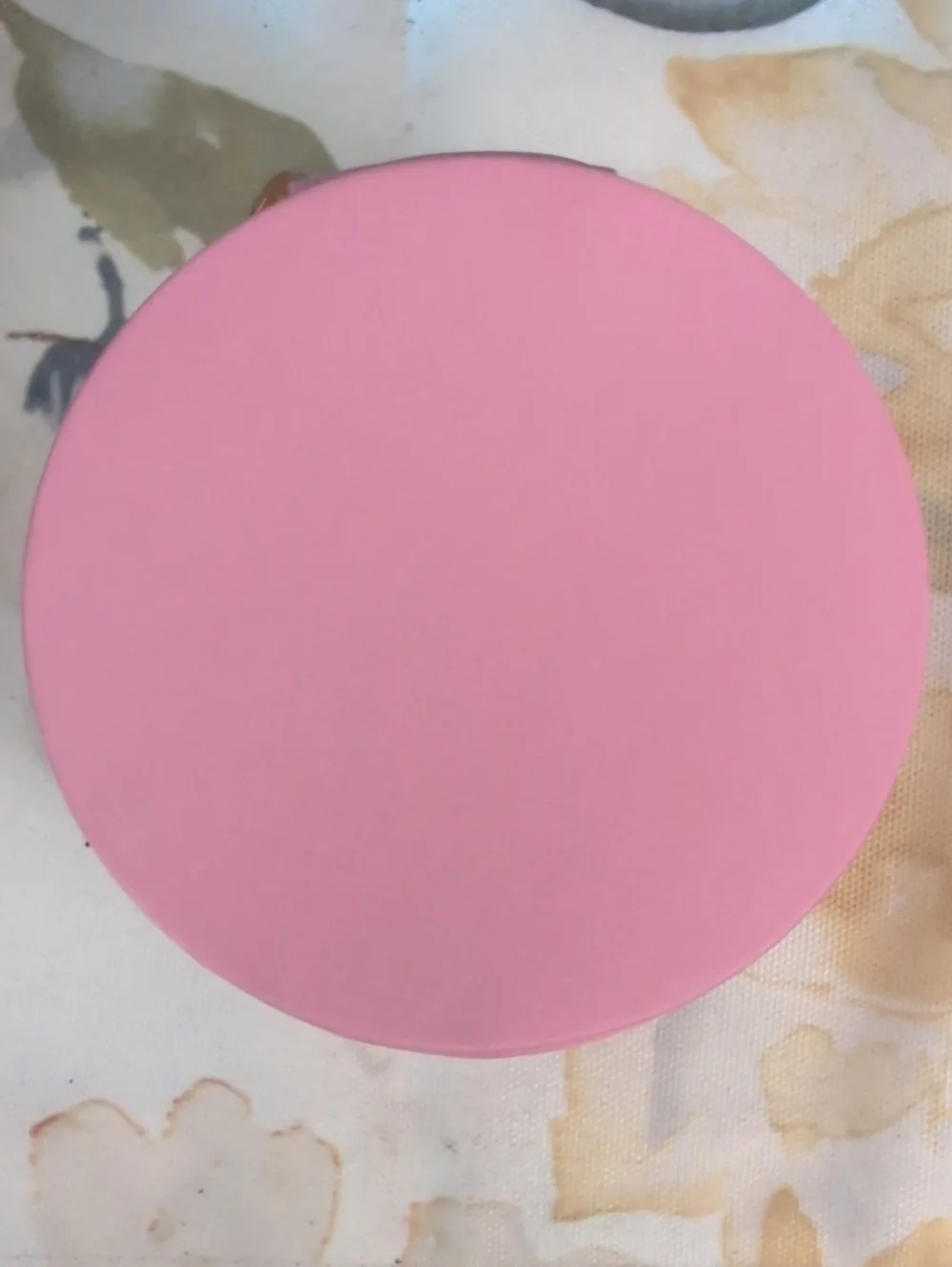 Gucci Blush Pink Jewelry Case